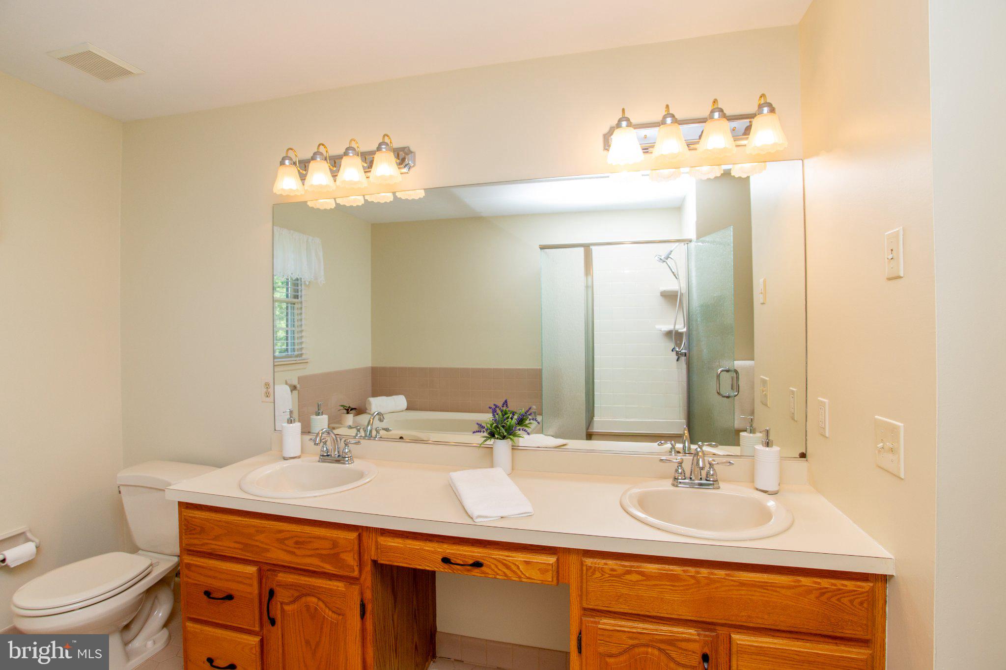 25 Farmhouse Road Milford, NJ 08848 - Photo 26 of 46 Primary bath