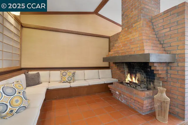 a plant that is sitting in a yard