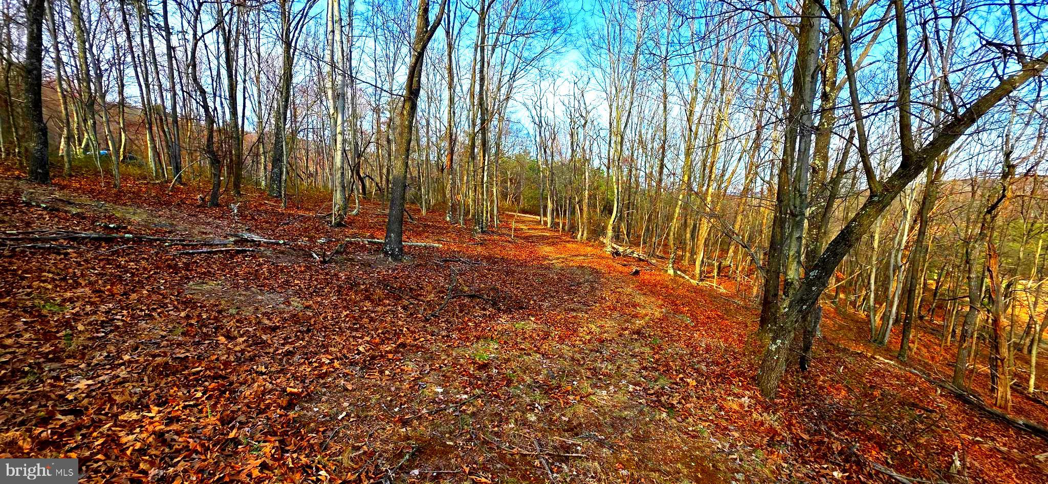 163 Olive Branch Road Rio, WV 26755 - Photo 51 of 70