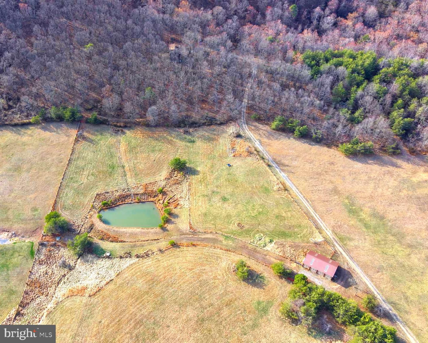 163 Olive Branch Road Rio, WV 26755 - Photo 55 of 70 a view of swimming pool