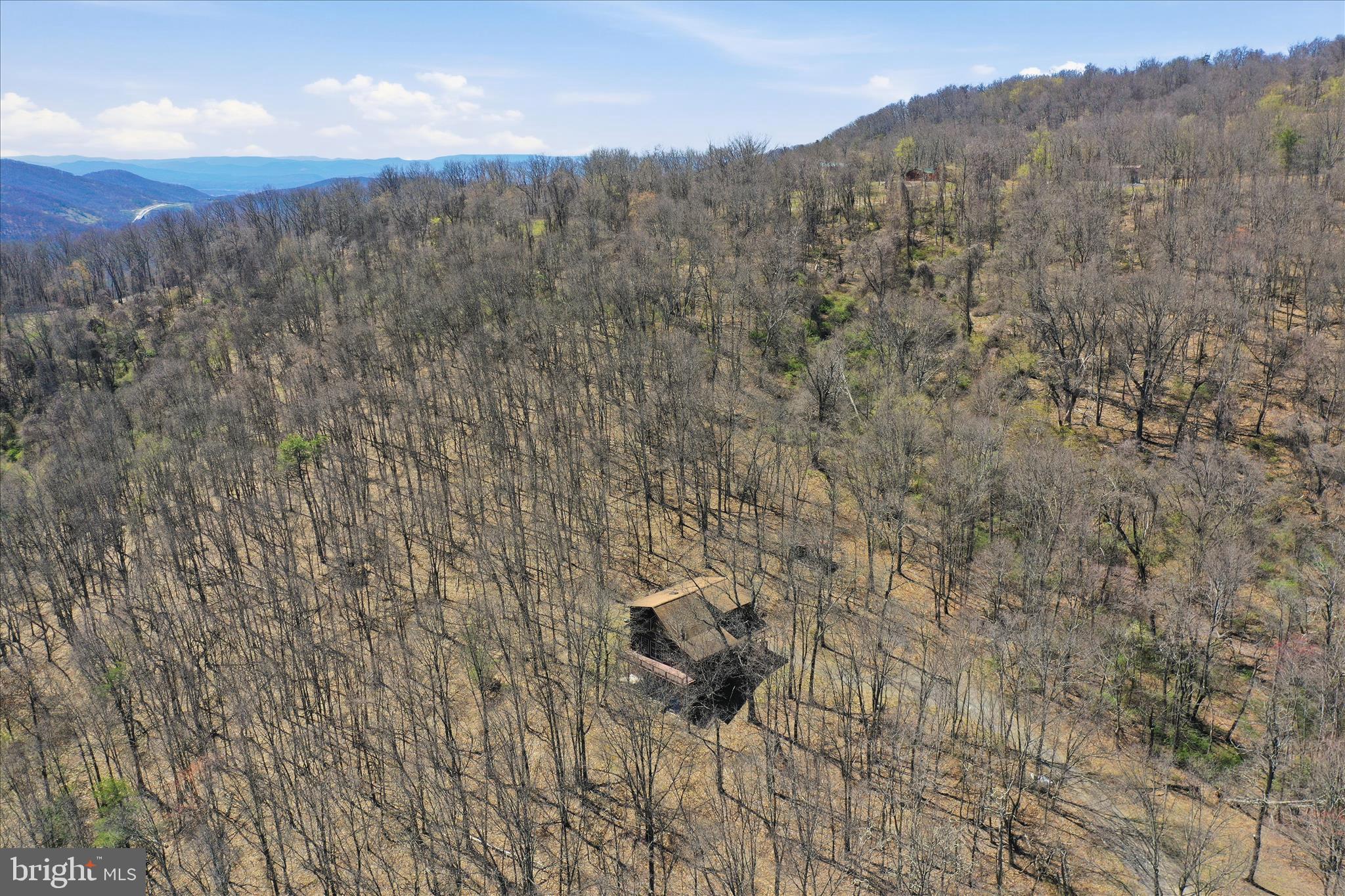 163 Olive Branch Road Rio, WV 26755 - Photo 64 of 70 a view of a dry yard with mountains in the background