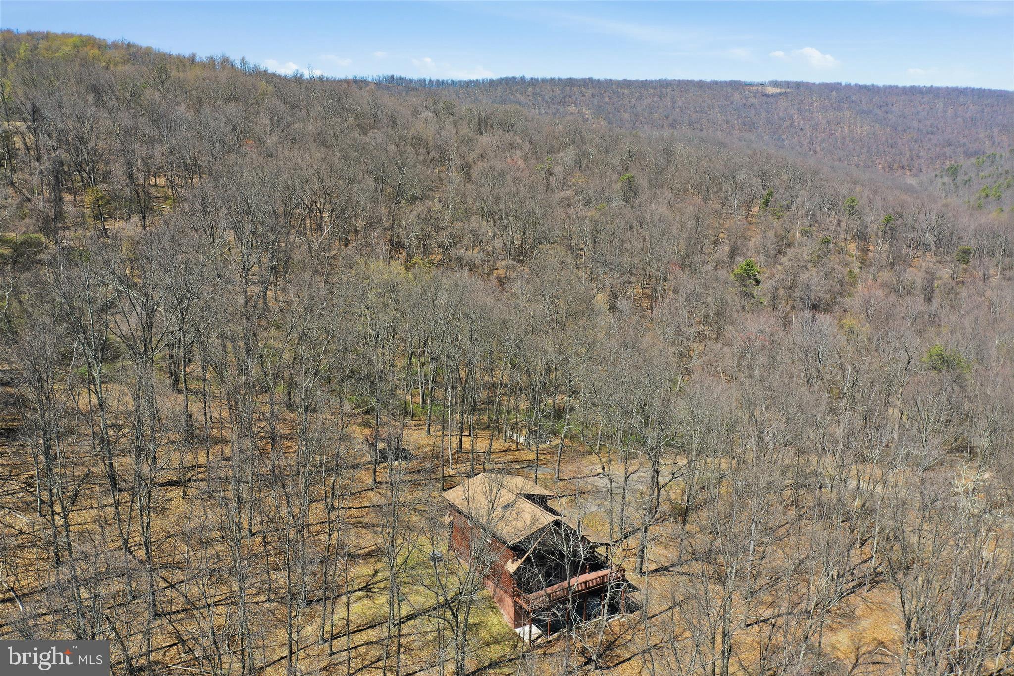 163 Olive Branch Road Rio, WV 26755 - Photo 67 of 70 a view of a dry yard with trees