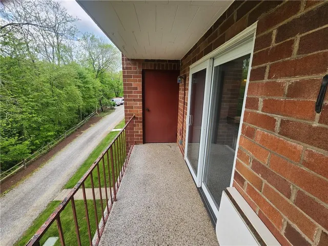 a view of a yard with plants and trees