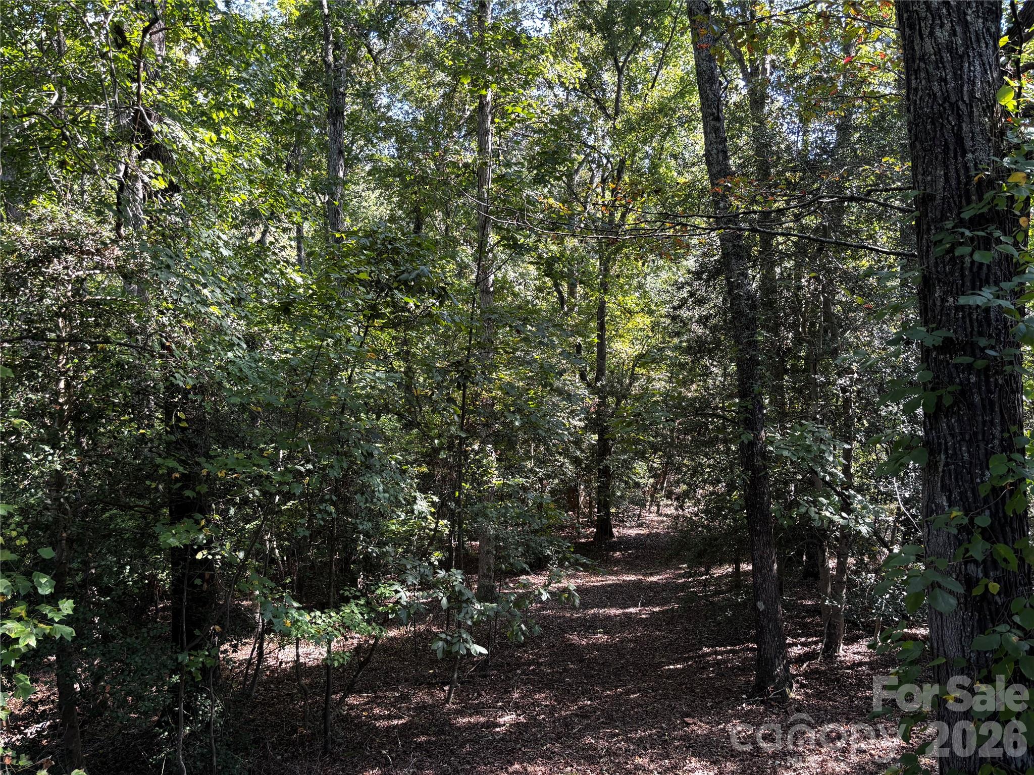 600 John Weaver Road Columbus, NC 28722 - Photo 46 of 47 Gallery Image 46