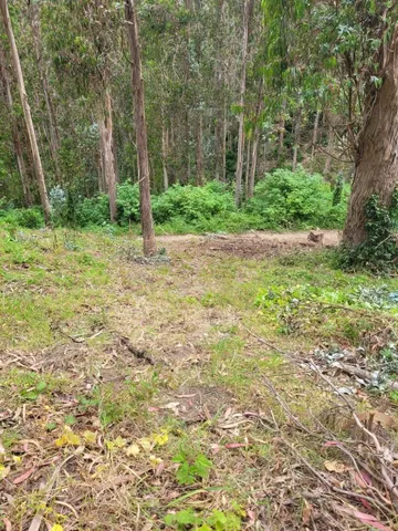 $30,000 | 0 Ave Portola, Half Moon Bay, CA 94019