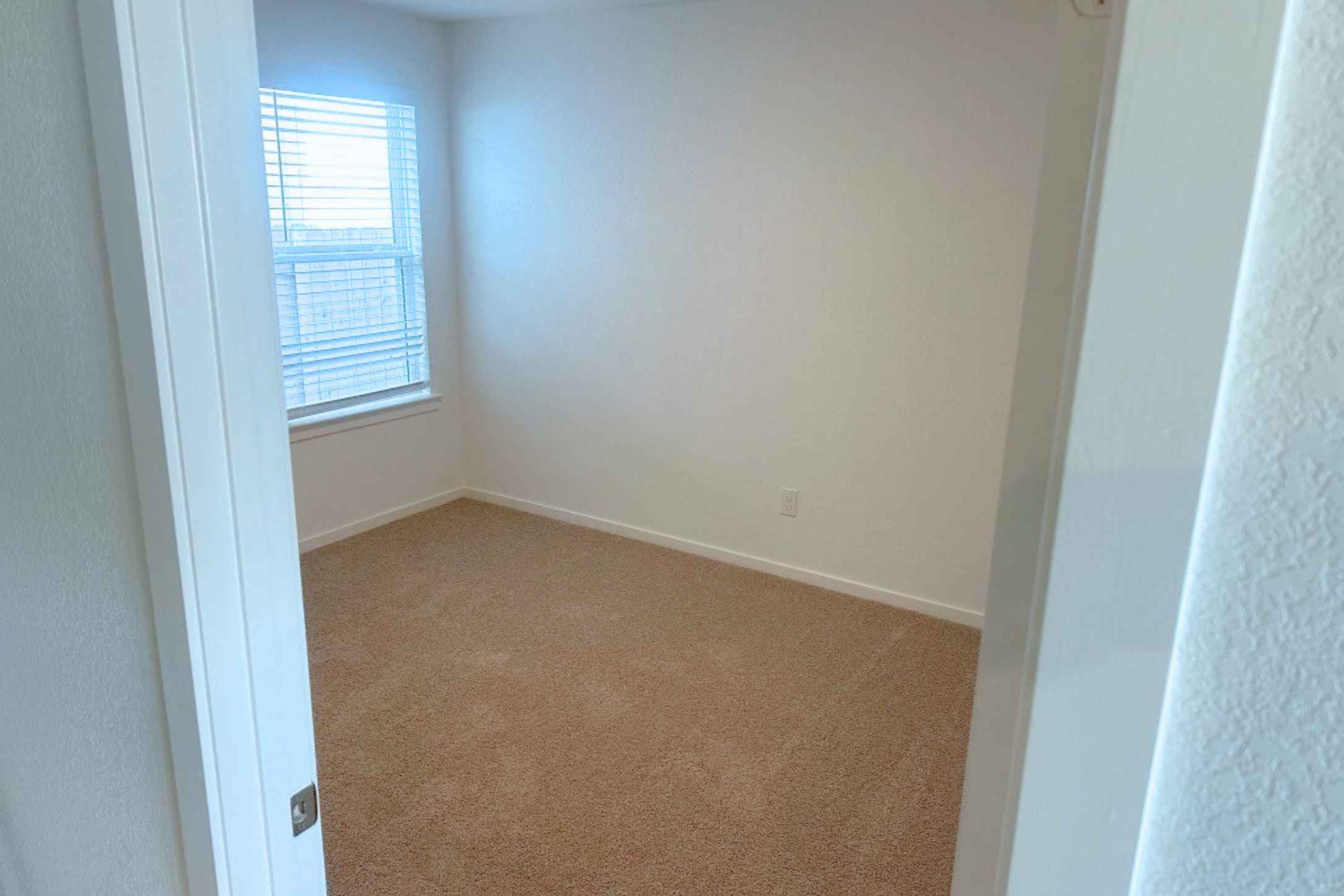 13832 Scarlett Song Drive Elgin, TX 78621 - Photo 4 of 19 Spare room featuring carpet and baseboards