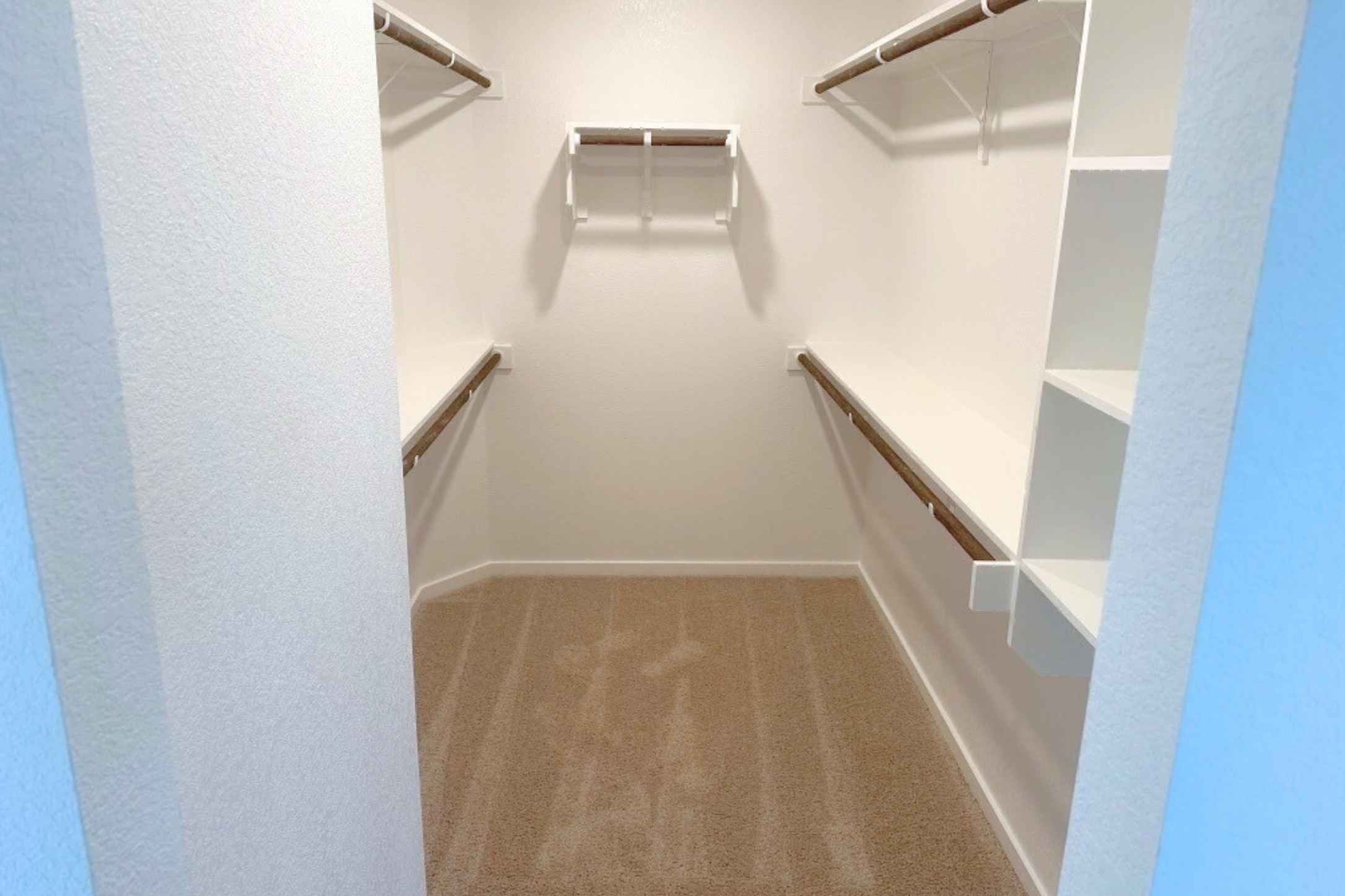 13832 Scarlett Song Drive Elgin, TX 78621 - Photo 9 of 19 Walk in closet featuring light carpet