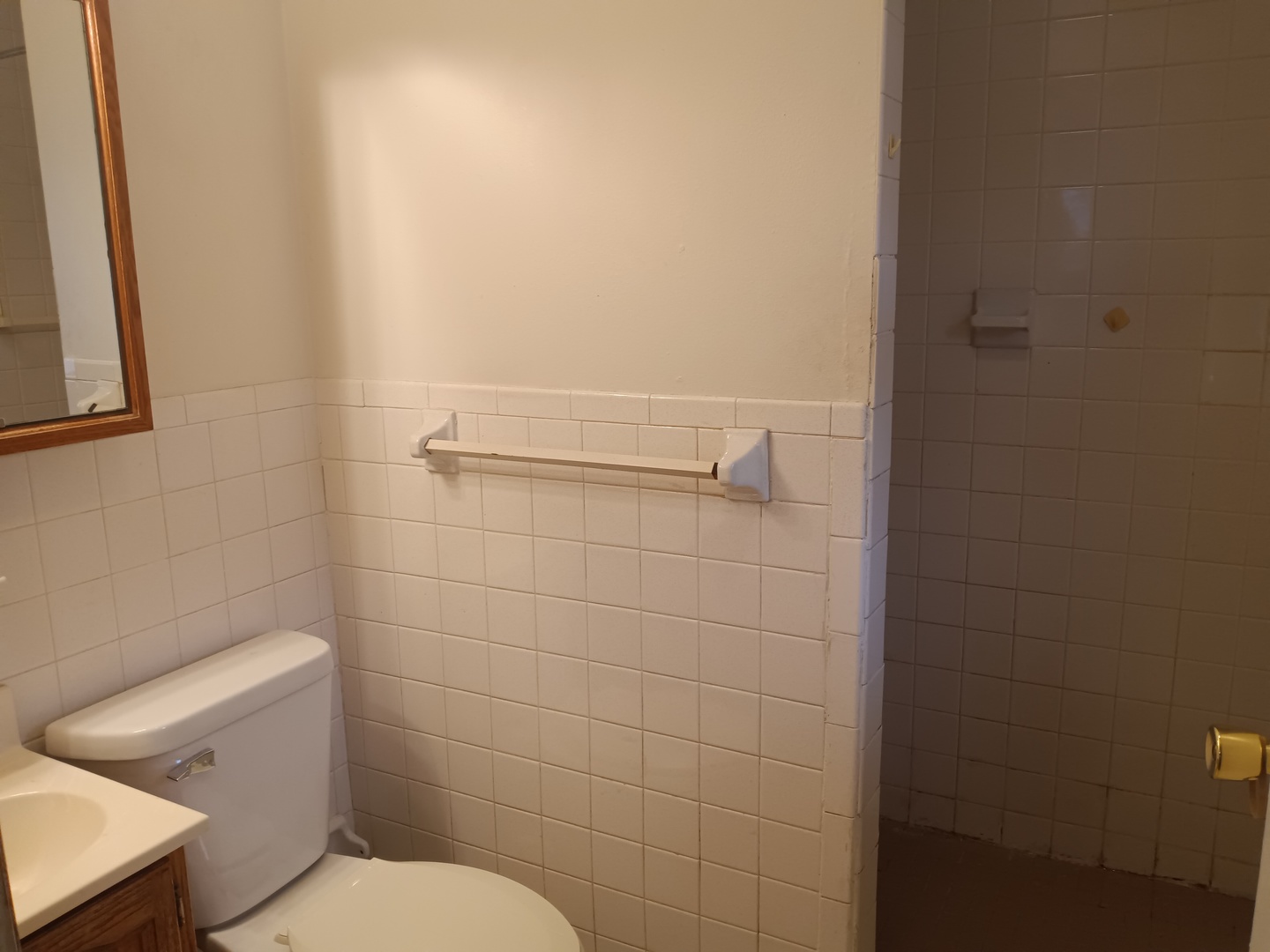 2208 Dale Drive Champaign, IL 61821 - Photo 12 of 12 a white toilet sitting next to a shower