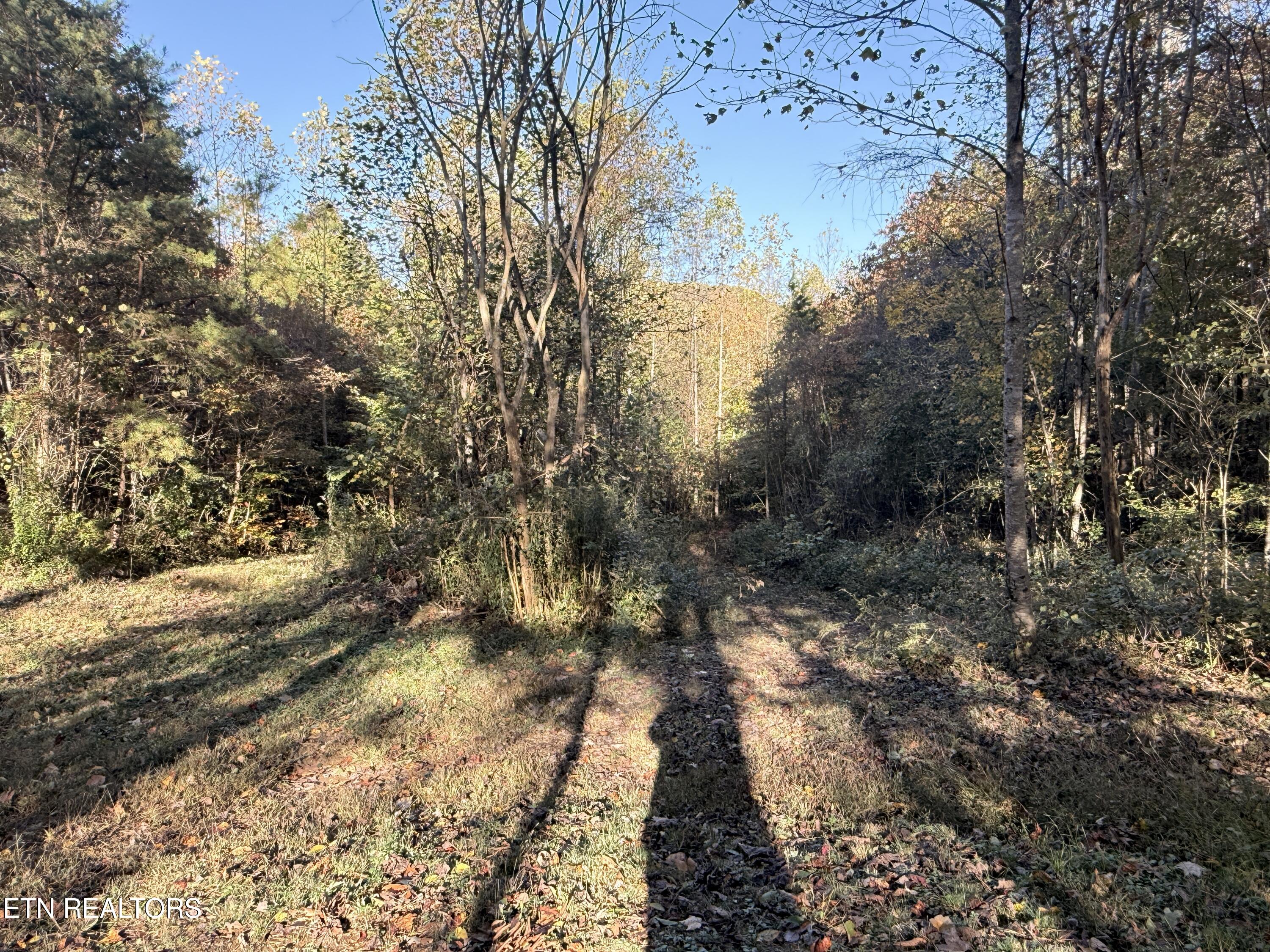 444 Roses Creek Road Clairfield, TN 37715 - Photo 34 of 48 Lower Property