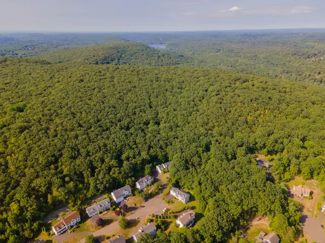 a view of a field with an ocean