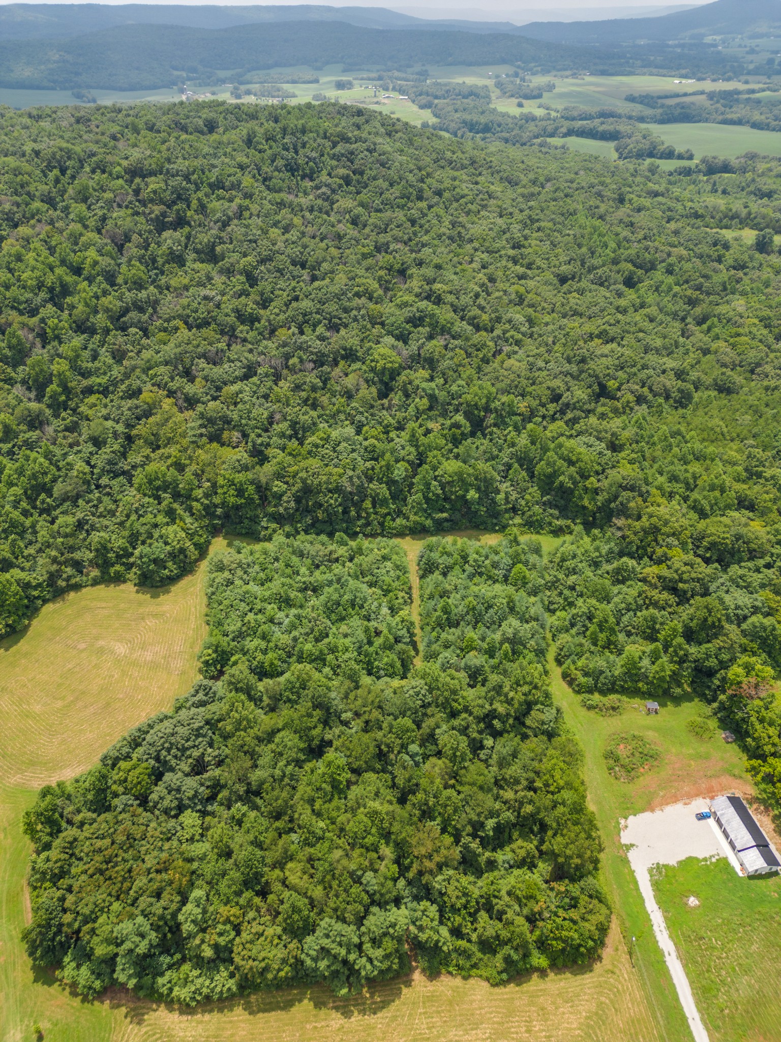 0 Goodbar Road Rock Island, TN 38581 - Photo 5 of 6 a view of a yard with an outdoor space