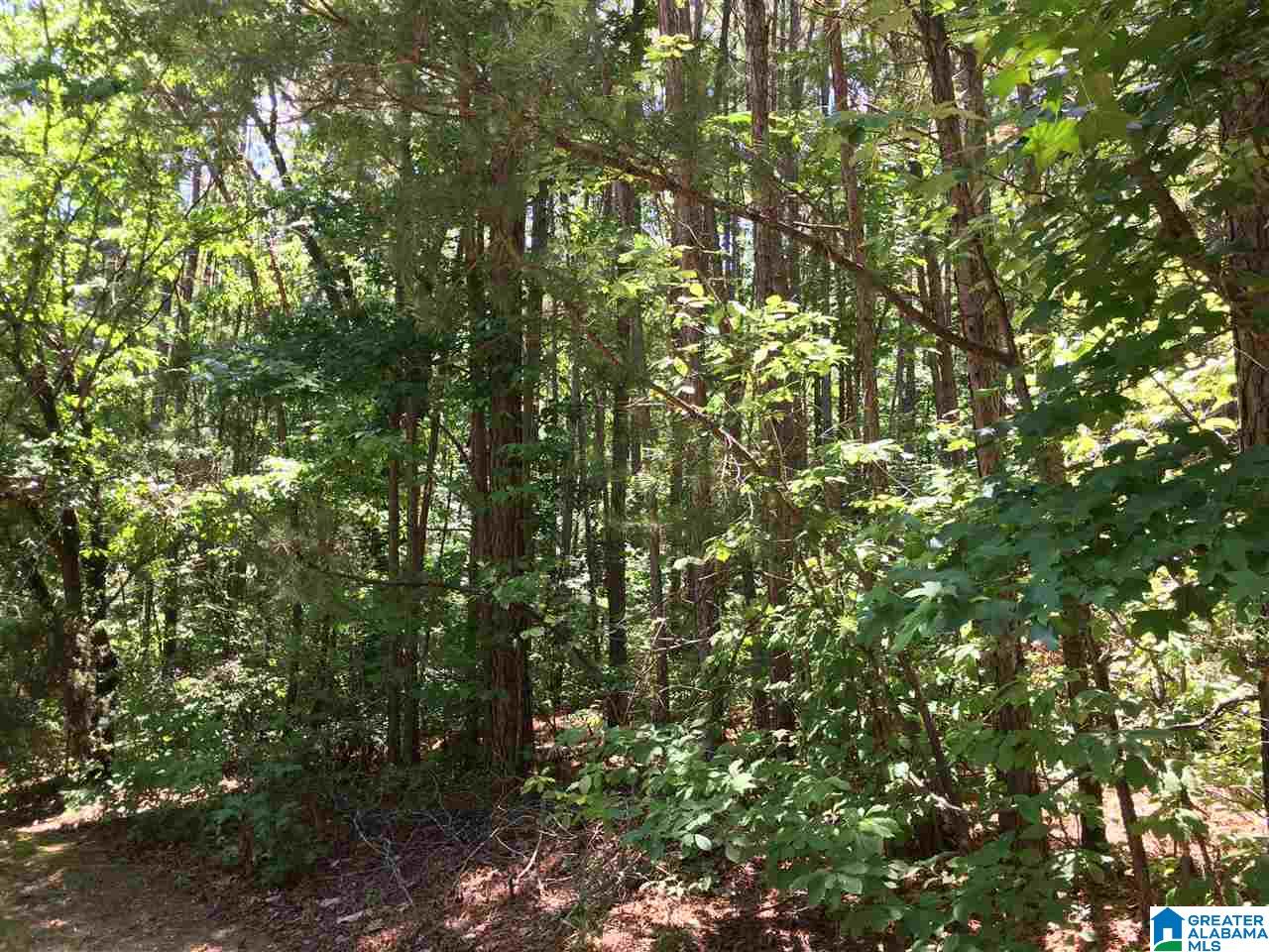3901 Dean Road, Unit 5 ACRES Pinson, AL 35126 - Photo 8 of 25