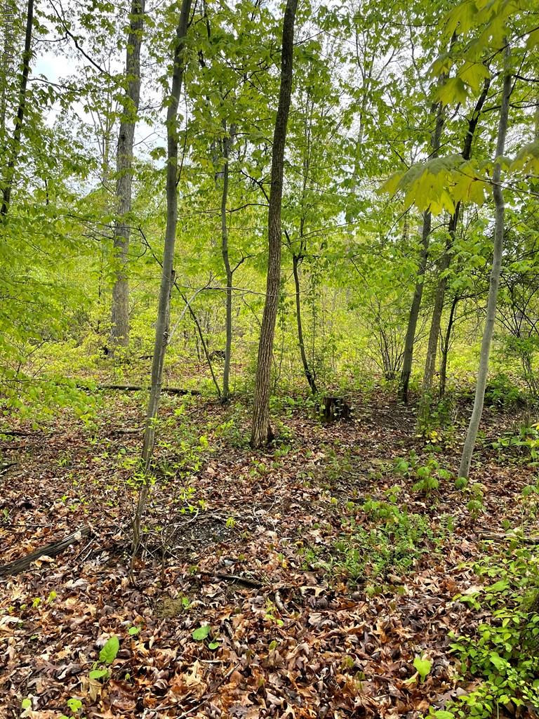 0 Sweet Root Road Bedford, PA 15522 - Photo 3 of 23 Gallery Image 3
