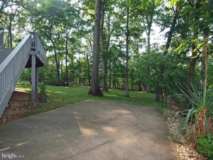 1001 Loxford Terrace Silver Spring, MD 20901 - Photo 22 of 25 a view of a yard with a tree