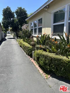 a couple of flower plants in front of house