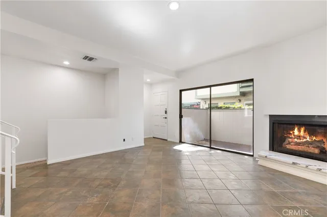 a close up of a plant