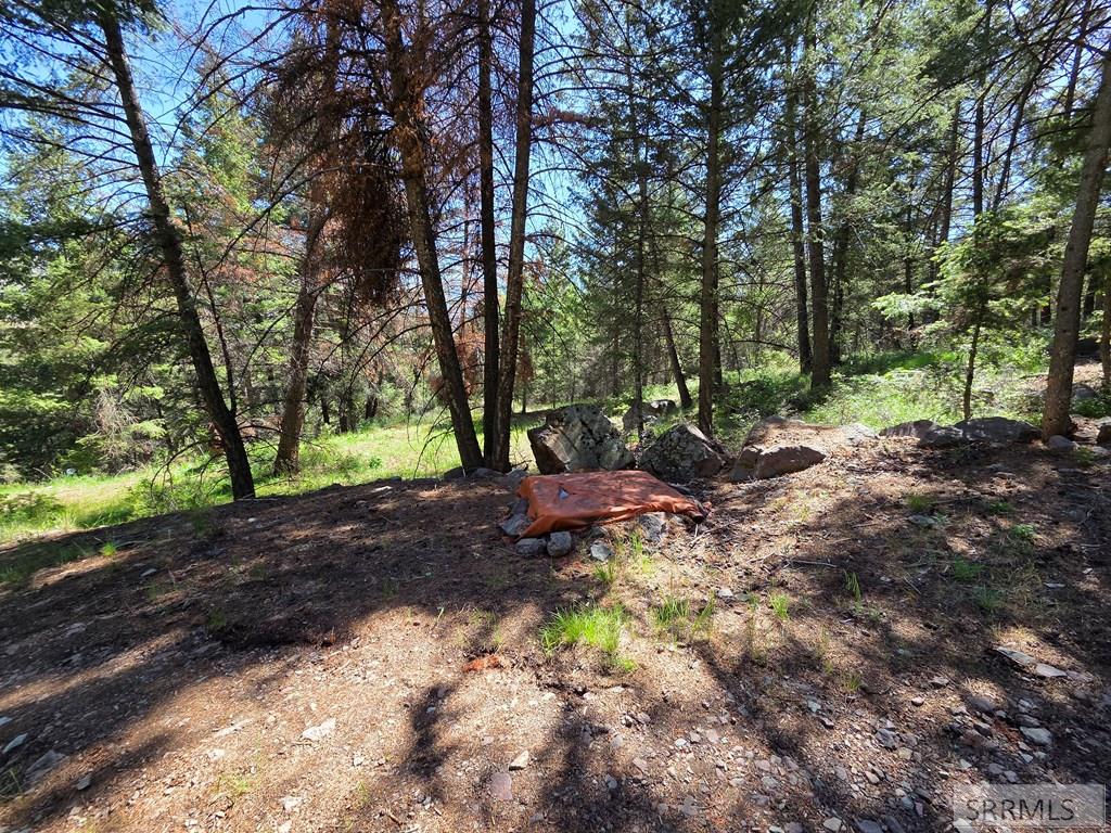 21 Pinetree Drive Salmon, ID 83467 - Photo 51 of 71