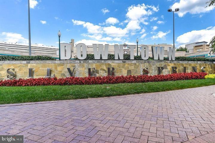 575 Thayer Avenue, Unit 404 Silver Spring, MD 20910 - Photo 21 of 26 a view of a garden