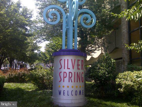 575 Thayer Avenue, Unit 404 Silver Spring, MD 20910 - Photo 23 of 26 a sign that is on a tree