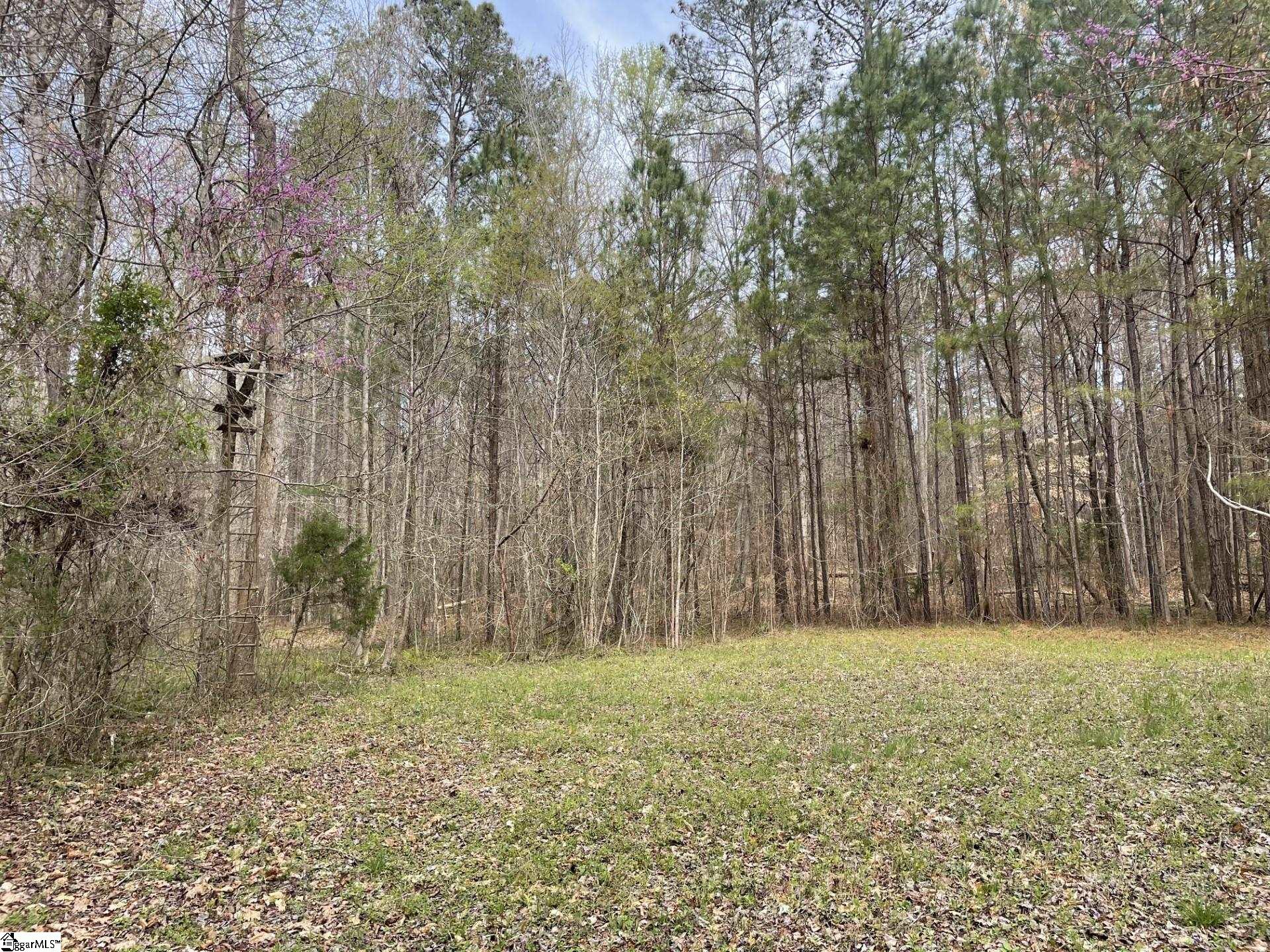 0 Renno Road Clinton, SC 29325 - Photo 11 of 28 Gallery Image 11