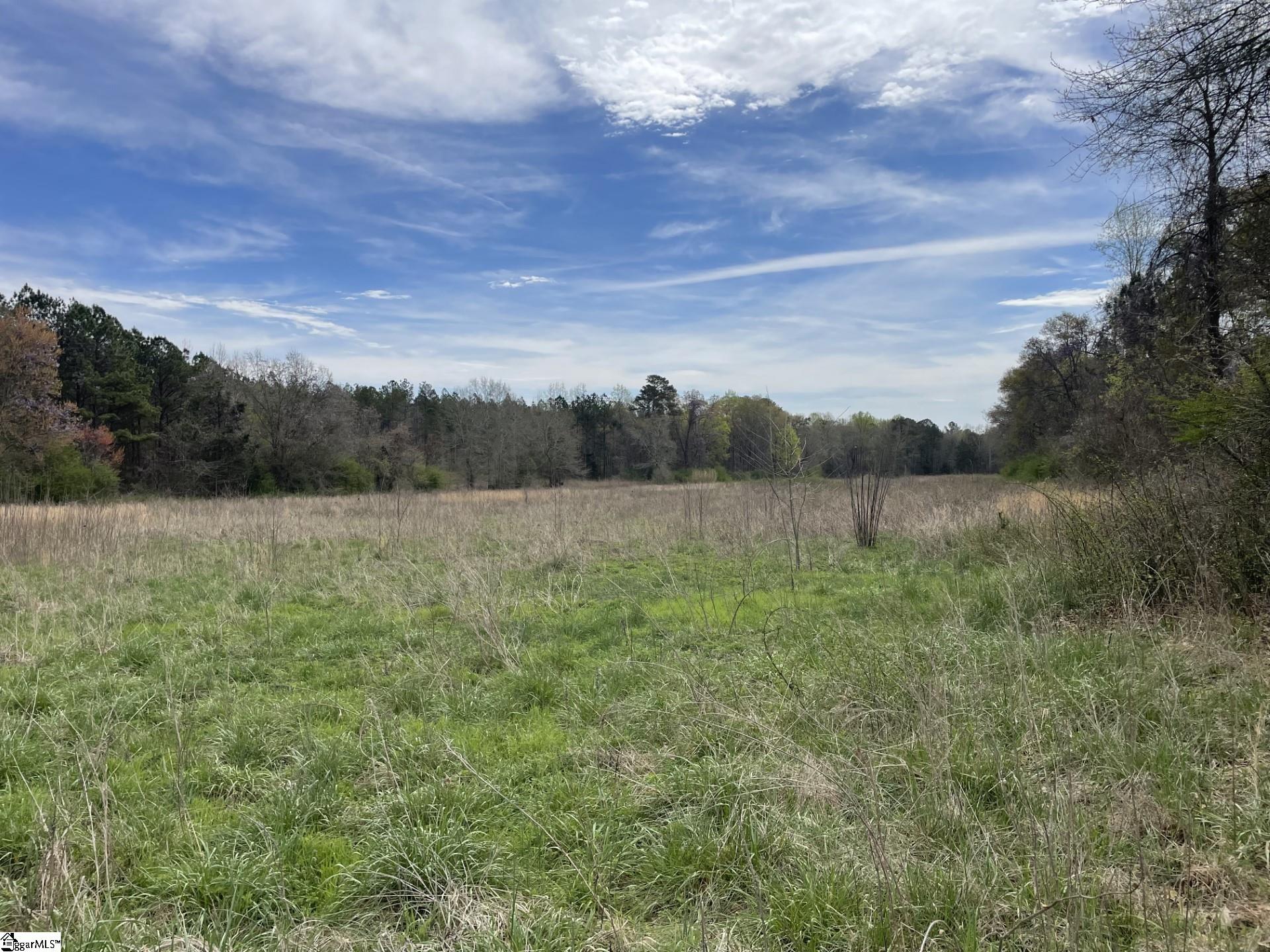 0 Renno Road Clinton, SC 29325 - Photo 12 of 28 Gallery Image 12