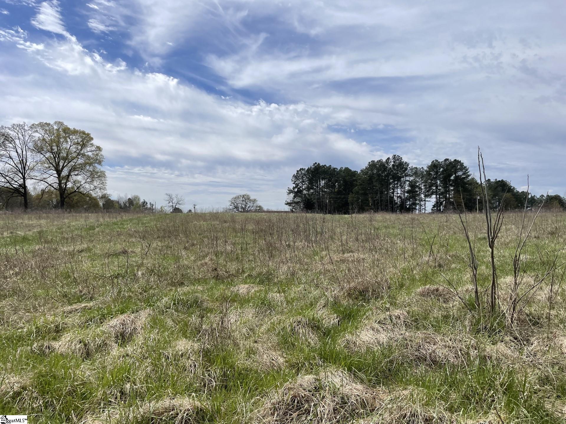 0 Renno Road Clinton, SC 29325 - Photo 13 of 28 Gallery Image 13