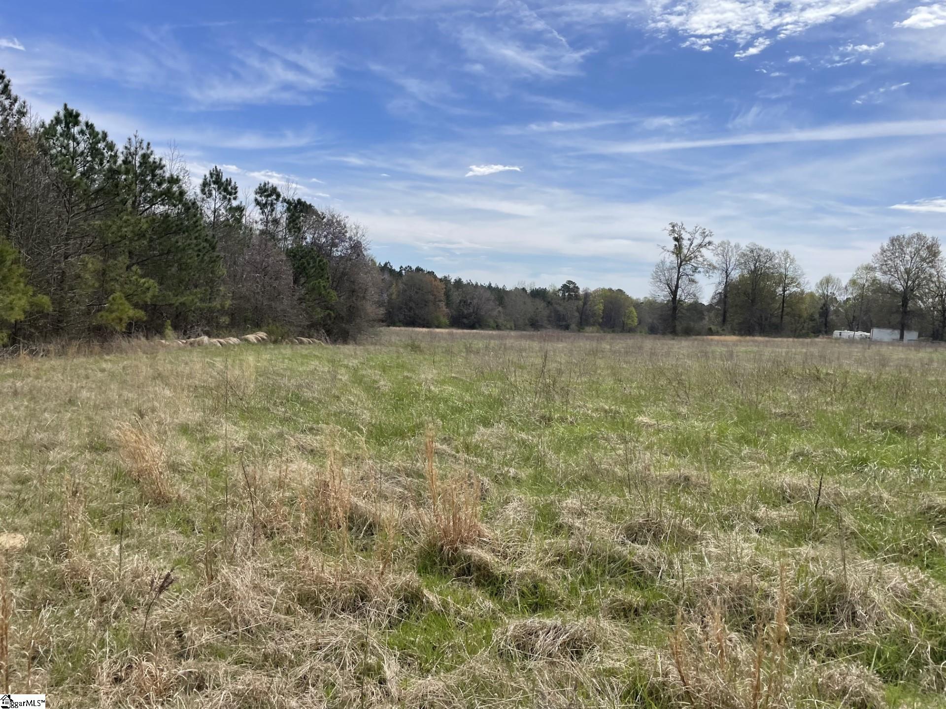0 Renno Road Clinton, SC 29325 - Photo 14 of 28 Gallery Image 14