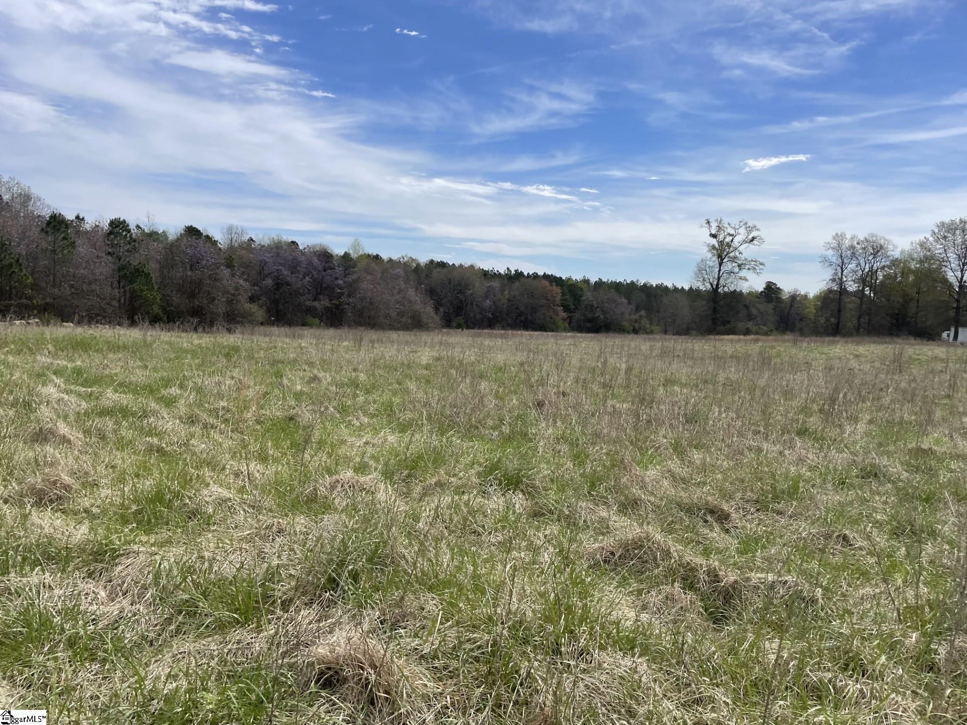 0 Renno Road Clinton, SC 29325 - Photo 15 of 28 Gallery Image 15