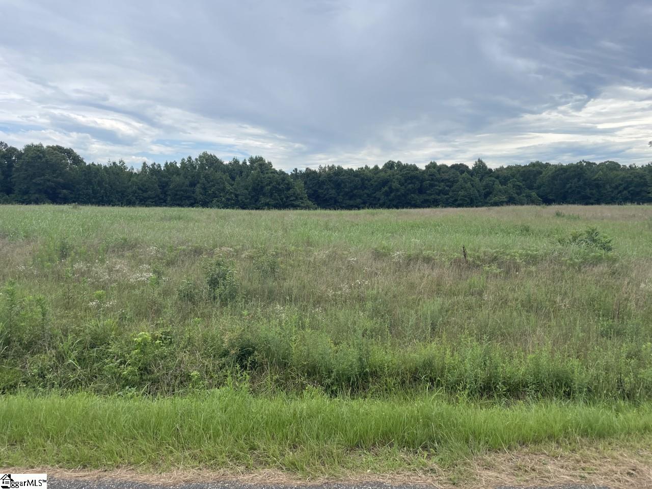 0 Renno Road Clinton, SC 29325 - Photo 16 of 28 Gallery Image 16