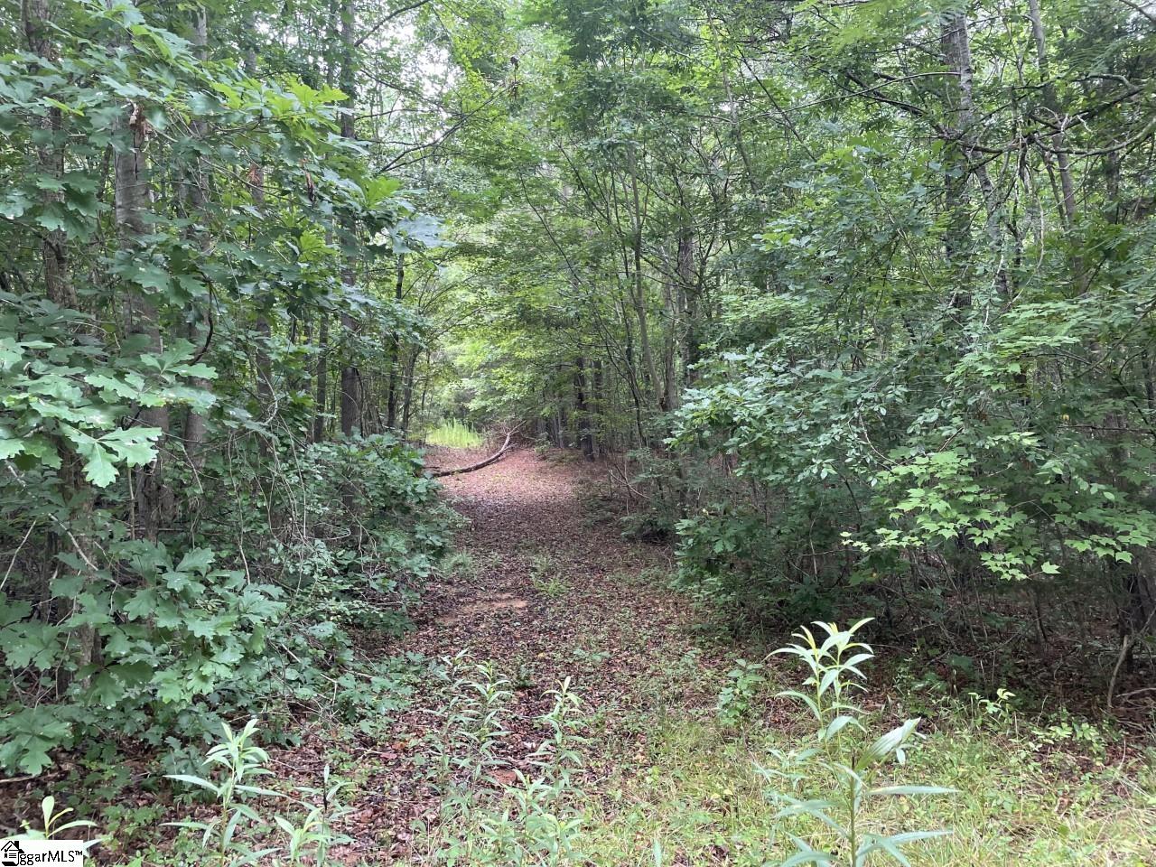 0 Renno Road Clinton, SC 29325 - Photo 19 of 28 Gallery Image 19