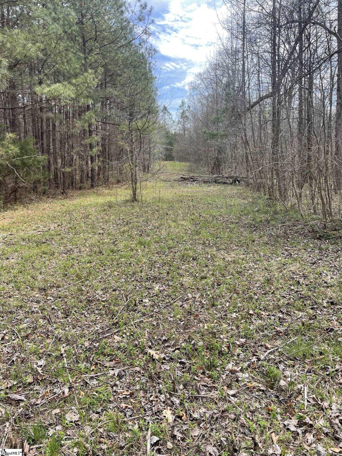 0 Renno Road Clinton, SC 29325 - Photo 10 of 28 Gallery Image 10