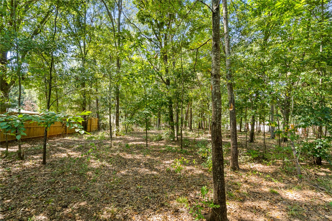 429 Gibson Road Anderson, SC 29625 - Photo 41 of 47 Towering mature trees frame a tranquil, shaded backyard bordered by privacy fencing.