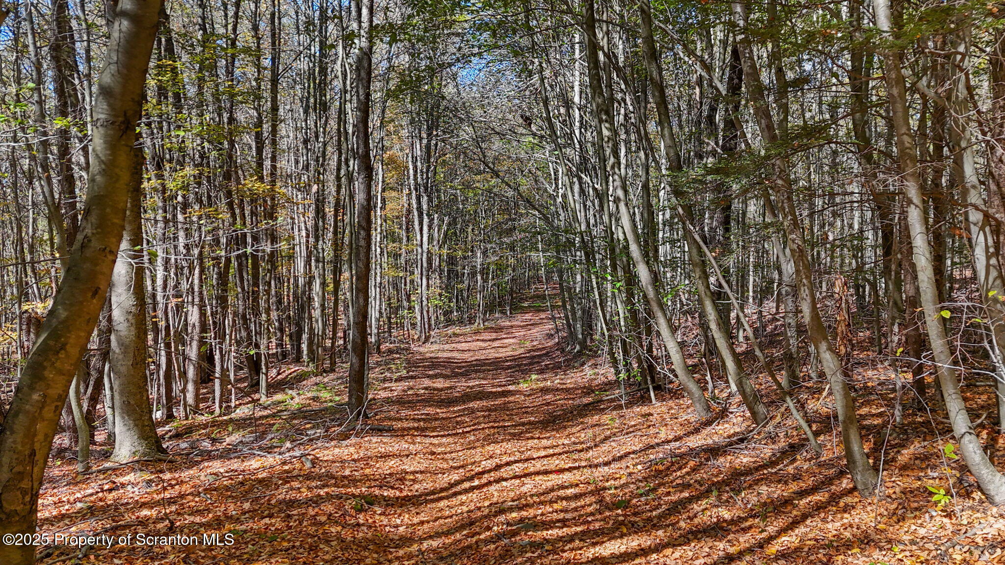 Lake Roy Road New Milford, PA 18834 - Photo 11 of 28 8-web-or-mls-DJI_20251009133248_0043_D