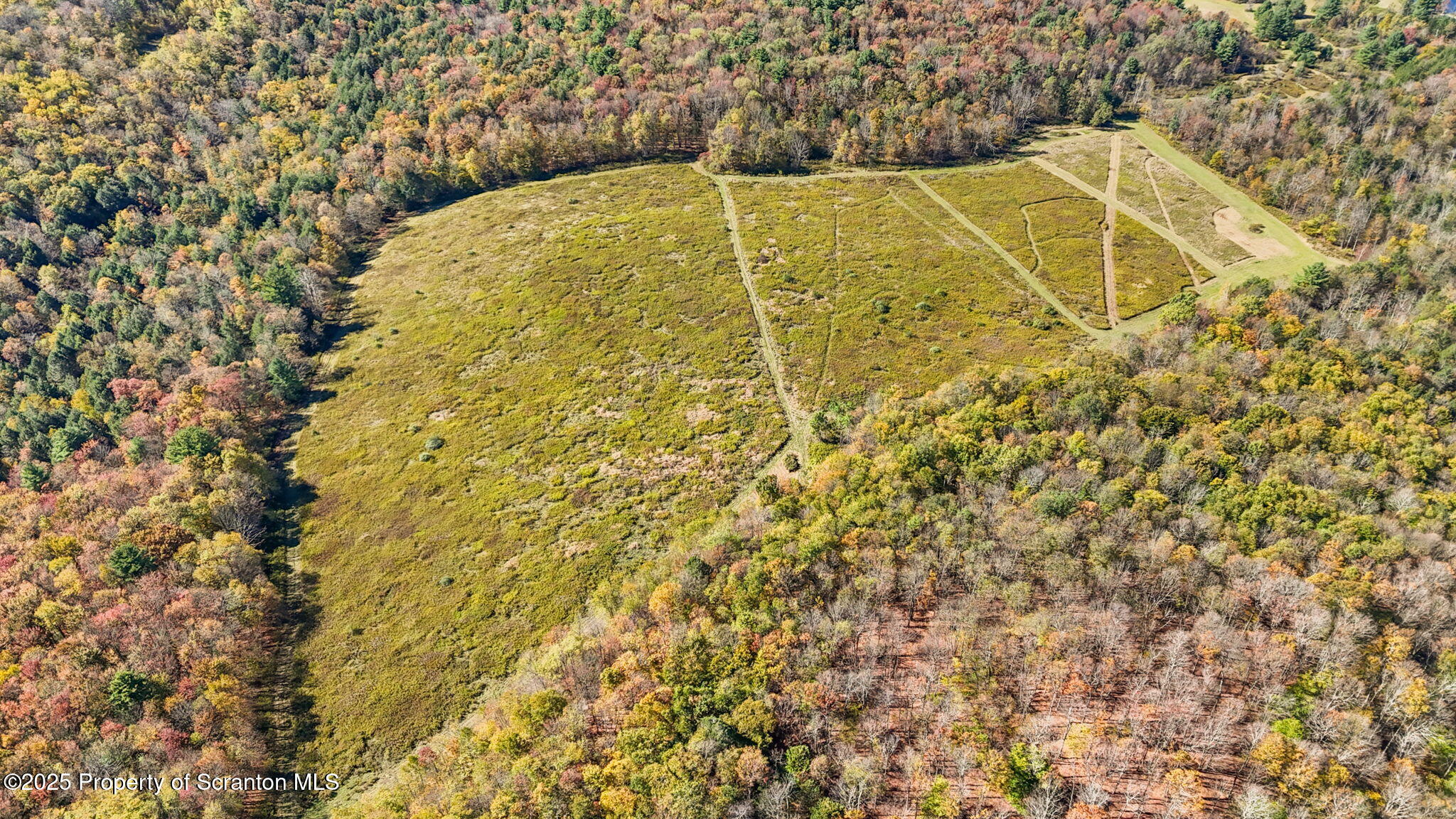 Lake Roy Road New Milford, PA 18834 - Photo 14 of 28 11-web-or-mls-DJI_20251009134013_0075_D