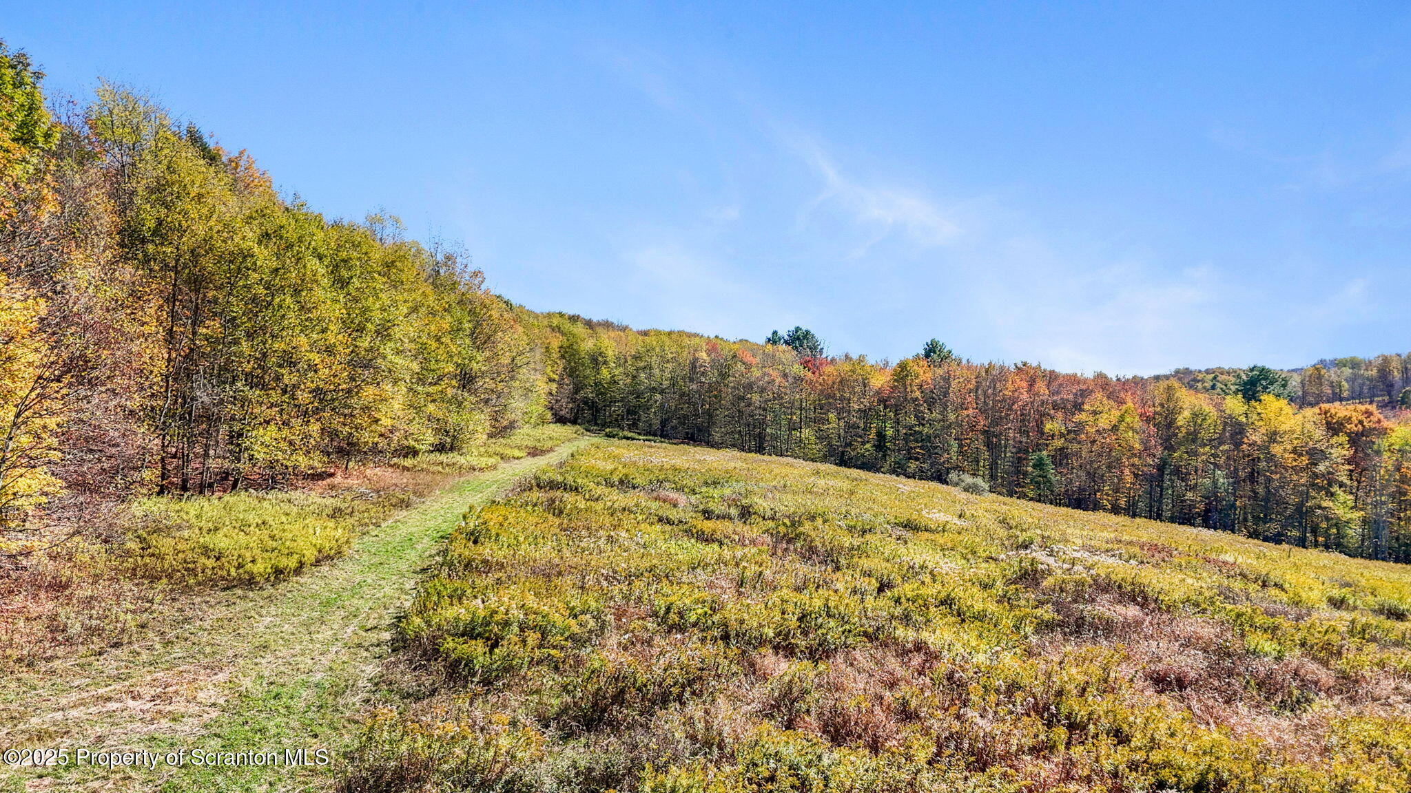 Lake Roy Road New Milford, PA 18834 - Photo 18 of 28 15-web-or-mls-DJI_20251009134704_0118_D