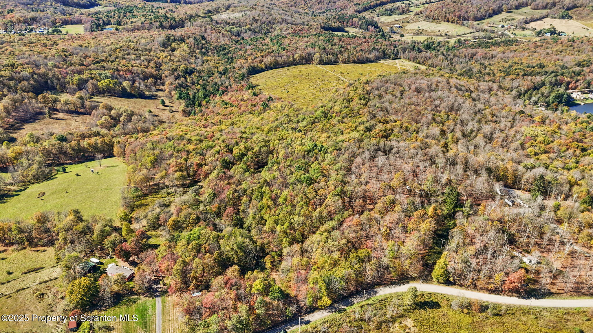 Lake Roy Road New Milford, PA 18834 - Photo 19 of 28 16-web-or-mls-DJI_20251009135837_0123_D