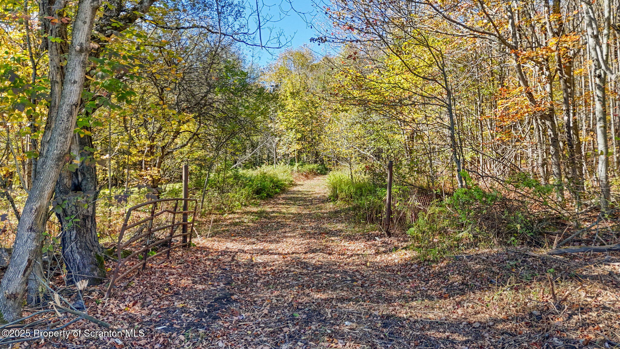 Lake Roy Road New Milford, PA 18834 - Photo 2 of 28 1-web-or-mls-DJI_20251009132354_0005_D