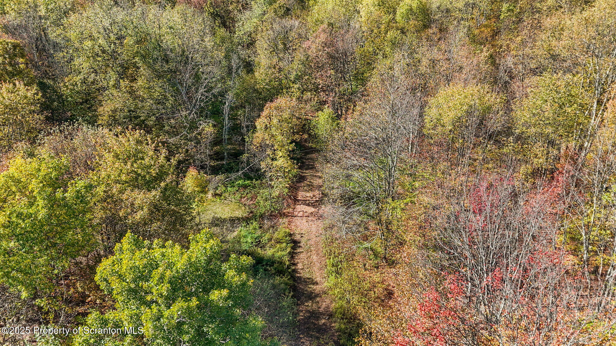 Lake Roy Road New Milford, PA 18834 - Photo 21 of 28 18-web-or-mls-DJI_20251009132411_0010_D