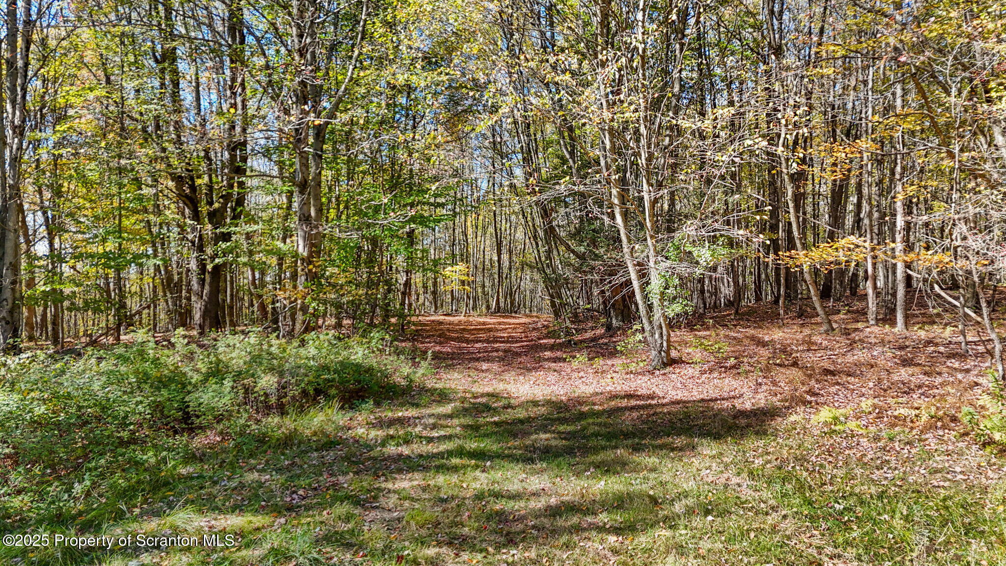 Lake Roy Road New Milford, PA 18834 - Photo 22 of 28 19-web-or-mls-DJI_20251009133110_0025_D