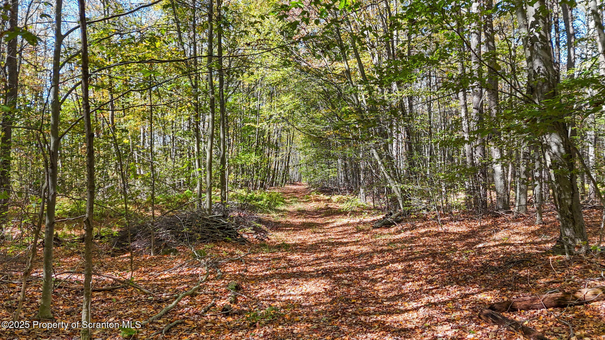 Lake Roy Road New Milford, PA 18834 - Photo 23 of 28 20-web-or-mls-DJI_20251009133459_0060_D