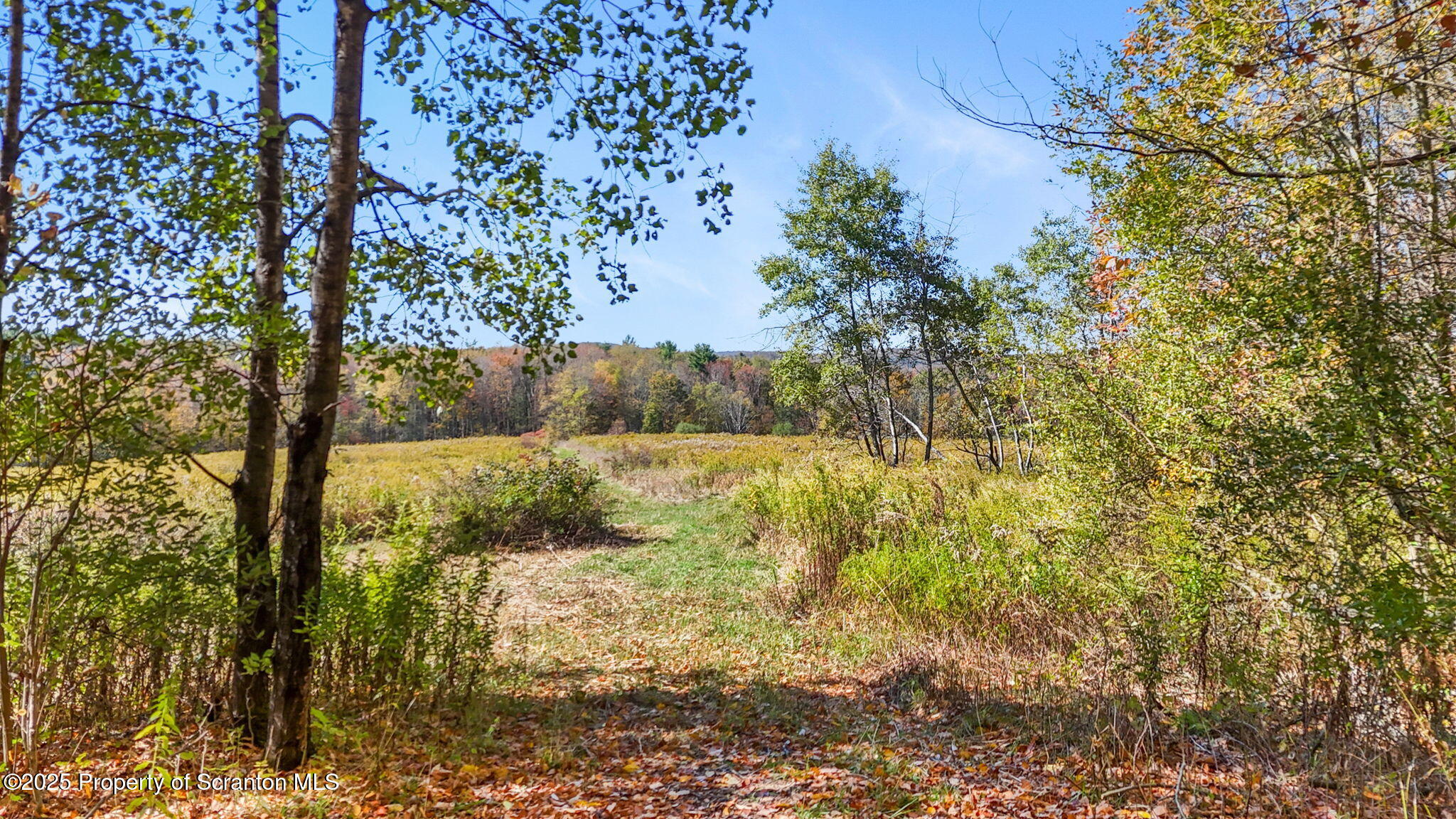 Lake Roy Road New Milford, PA 18834 - Photo 24 of 28 21-web-or-mls-DJI_20251009133809_0065_D