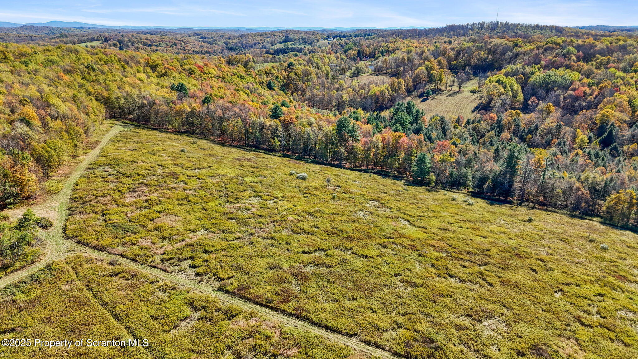 Lake Roy Road New Milford, PA 18834 - Photo 25 of 28 23-web-or-mls-DJI_20251009134427_0083_D