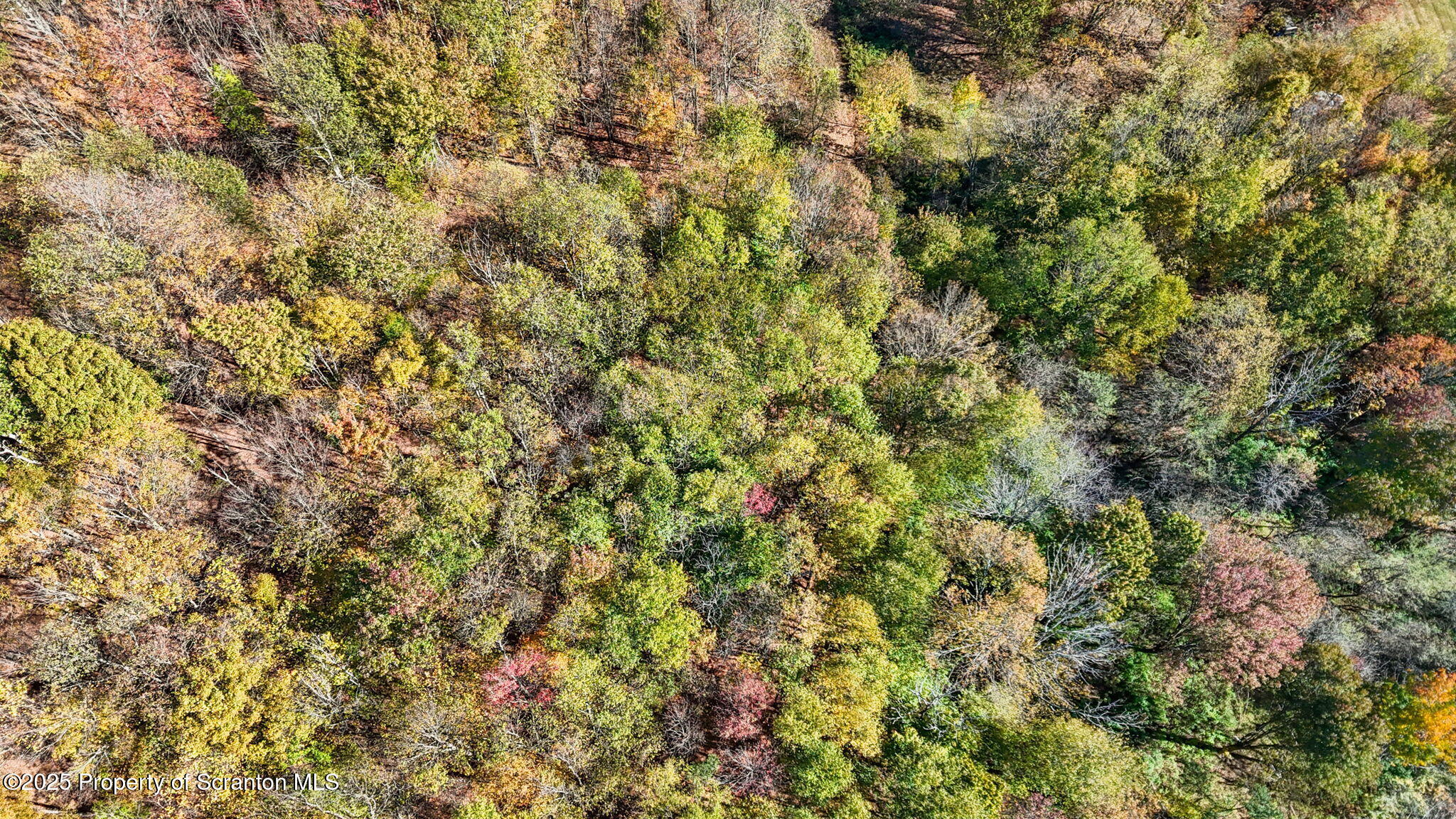 Lake Roy Road New Milford, PA 18834 - Photo 28 of 28 27-web-or-mls-DJI_20251009135945_0135_D
