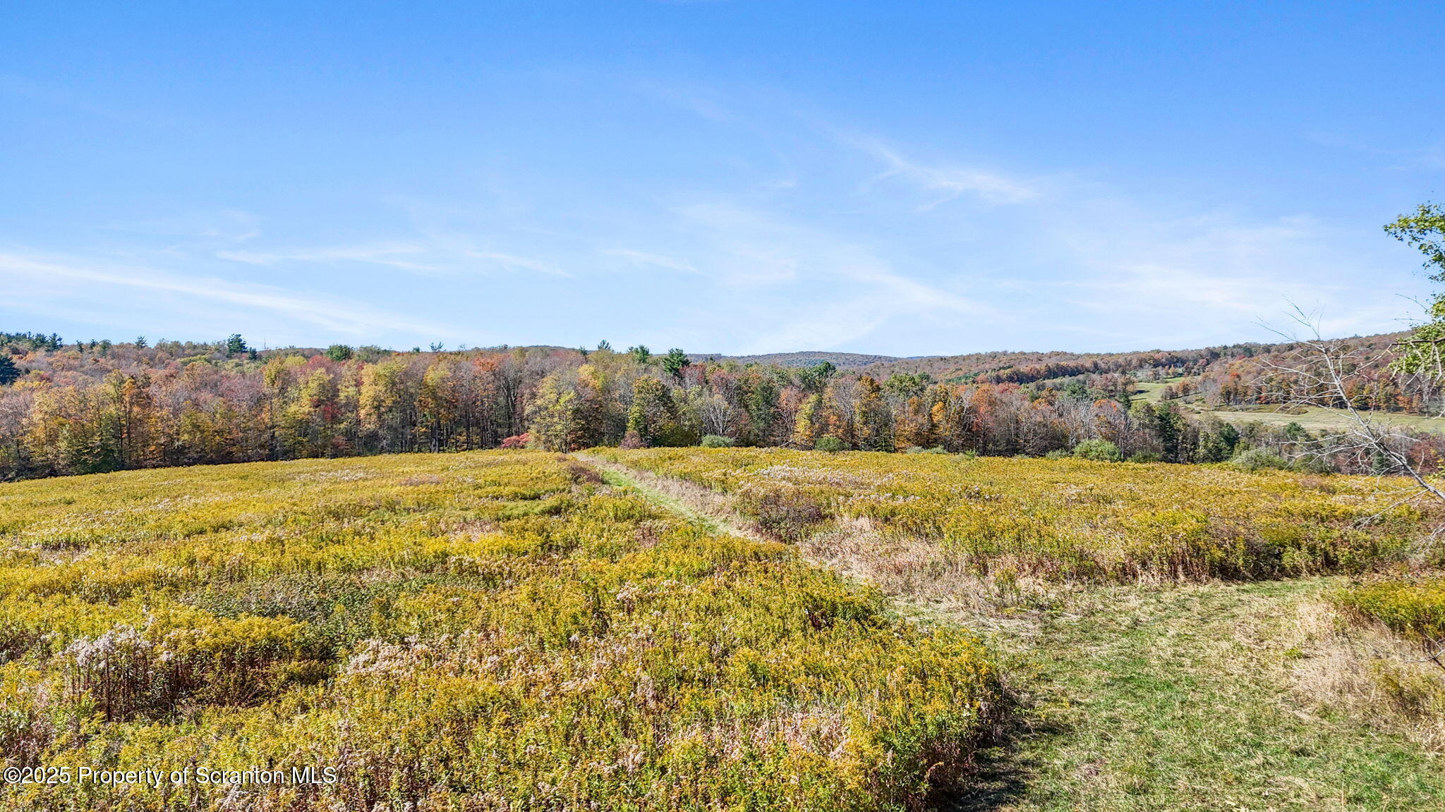 Lake Roy Road New Milford, PA 18834 - Photo 3 of 28 22-web-or-mls-DJI_20251009133834_0068_D