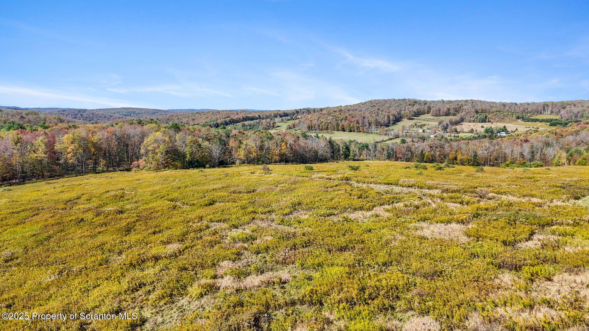 Lake Roy Road New Milford, PA 18834 - Photo 4 of 28 25-web-or-mls-DJI_20251009134626_0103_D