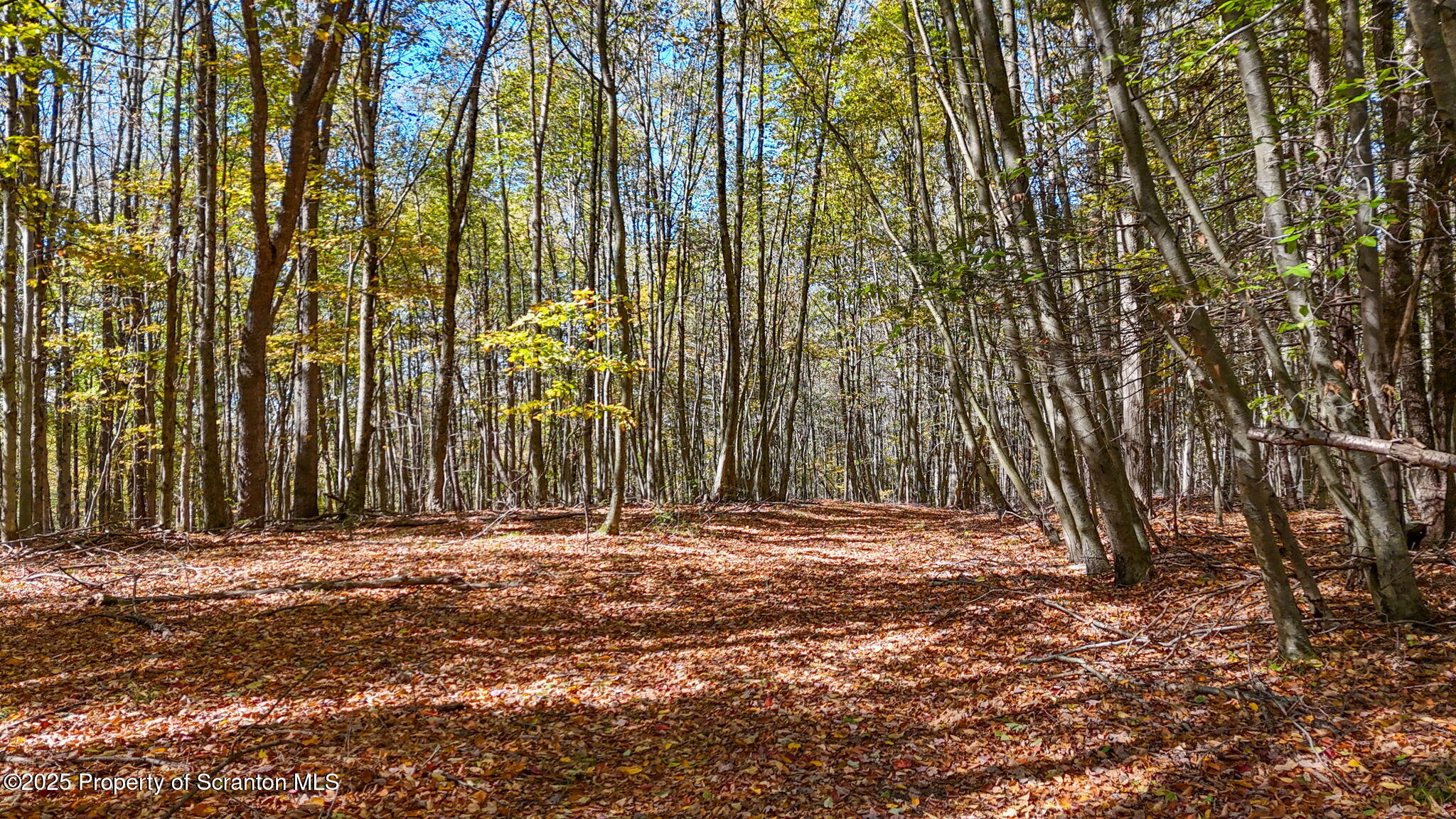 Lake Roy Road New Milford, PA 18834 - Photo 5 of 28 2-web-or-mls-DJI_20251009133217_0038_D