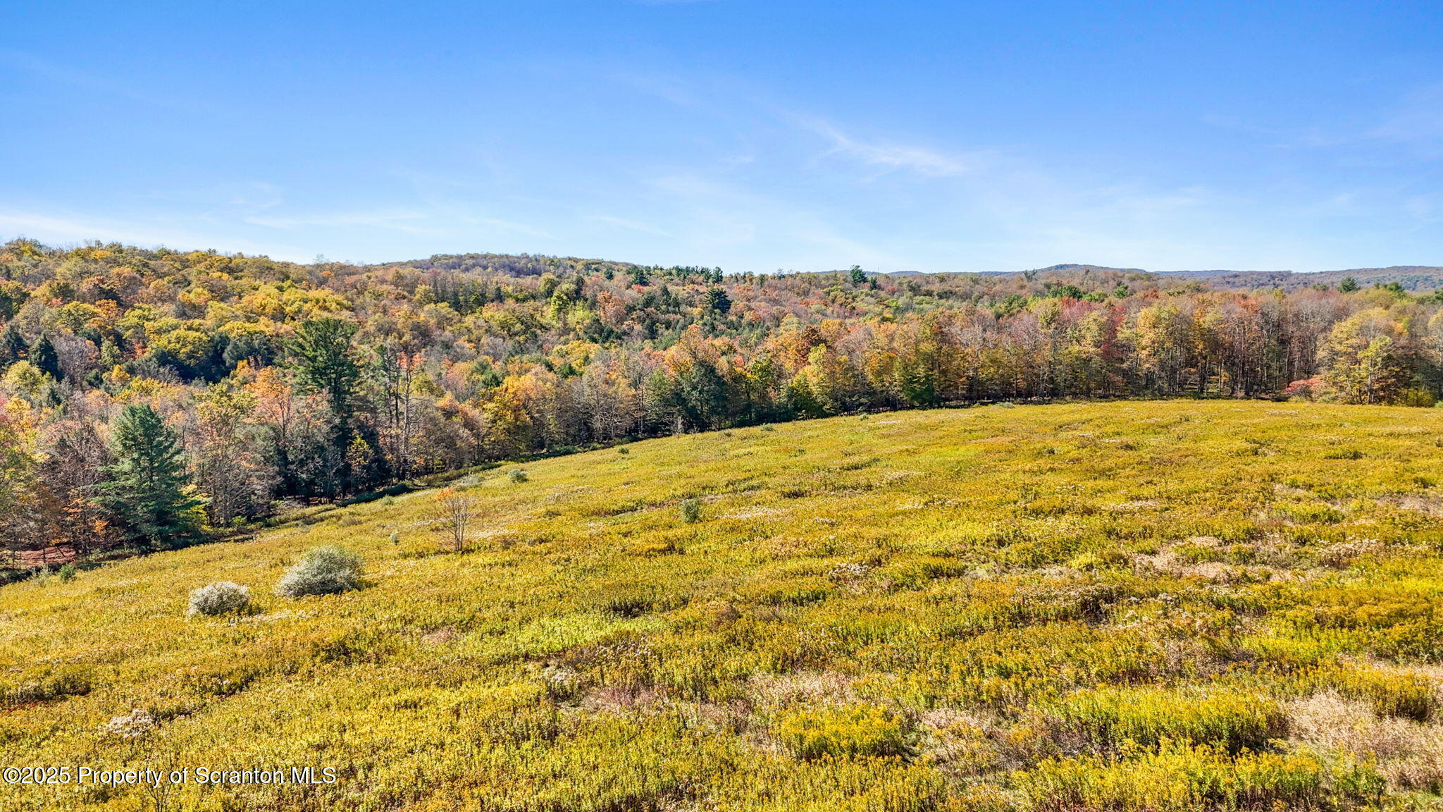 Lake Roy Road New Milford, PA 18834 - Photo 6 of 28 3-web-or-mls-DJI_20251009134618_0098_D