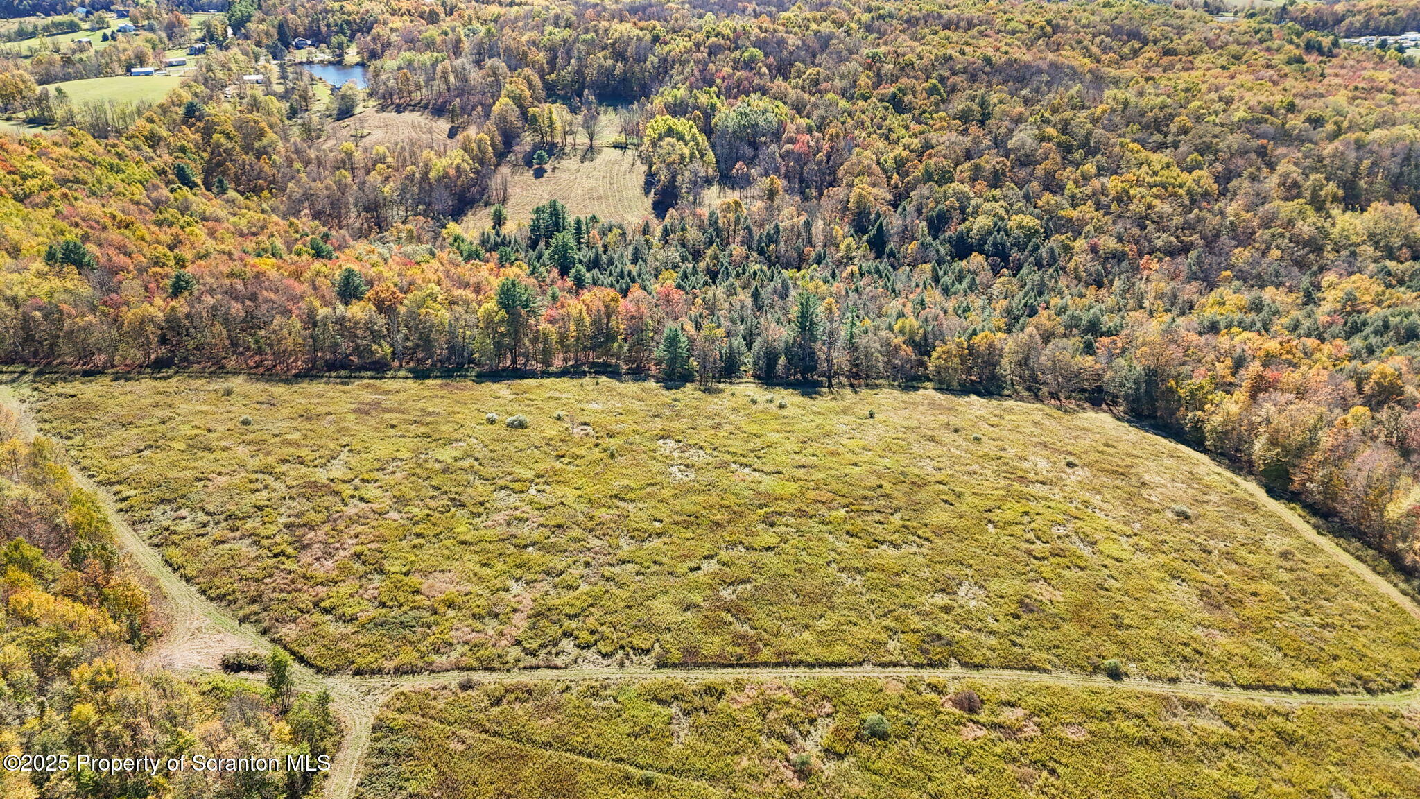 Lake Roy Road New Milford, PA 18834 - Photo 7 of 28 4-web-or-mls-DJI_20251009132729_0015_D