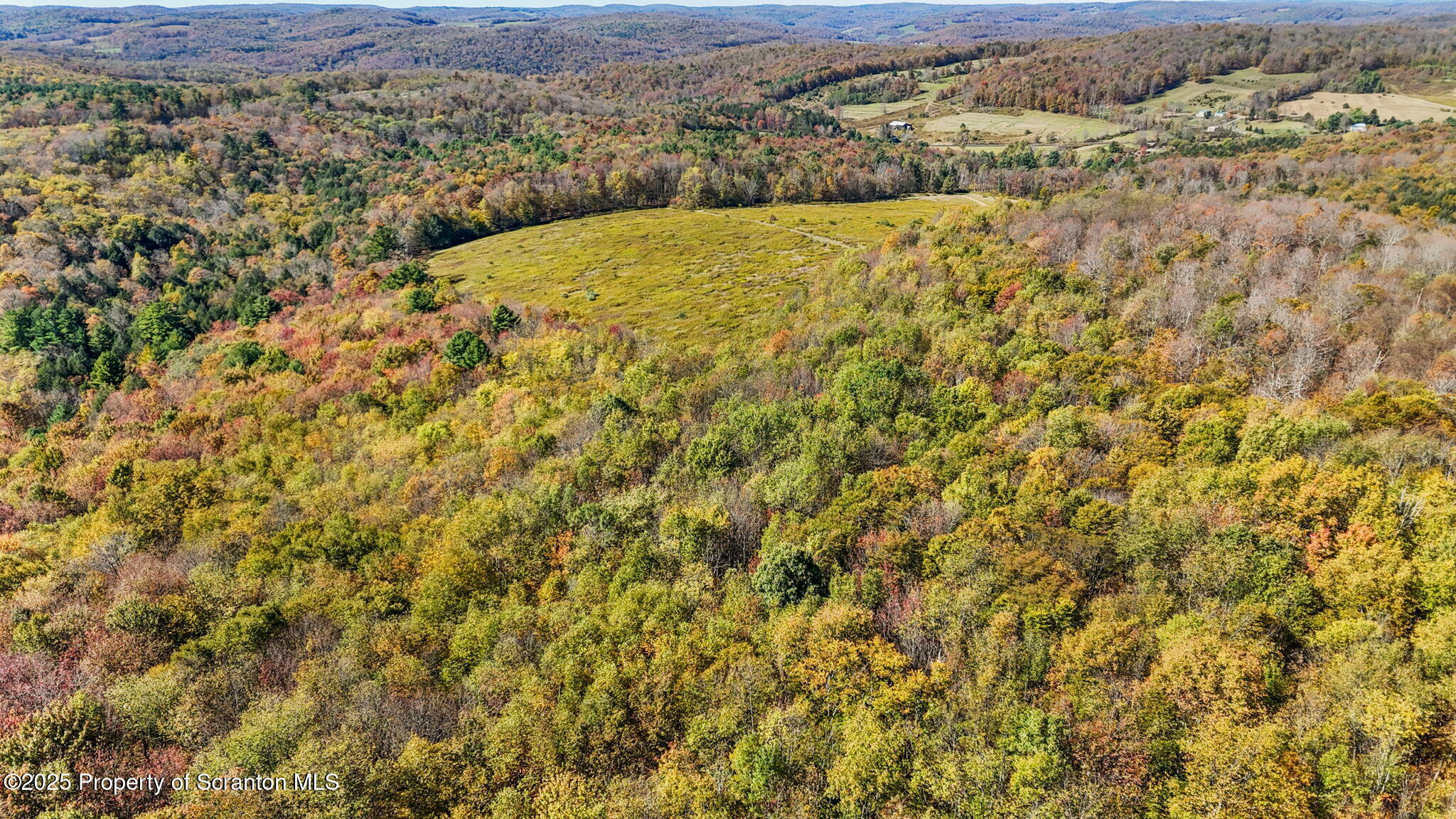 Lake Roy Road New Milford, PA 18834 - Photo 8 of 28 5-web-or-mls-DJI_20251009132950_0020_D