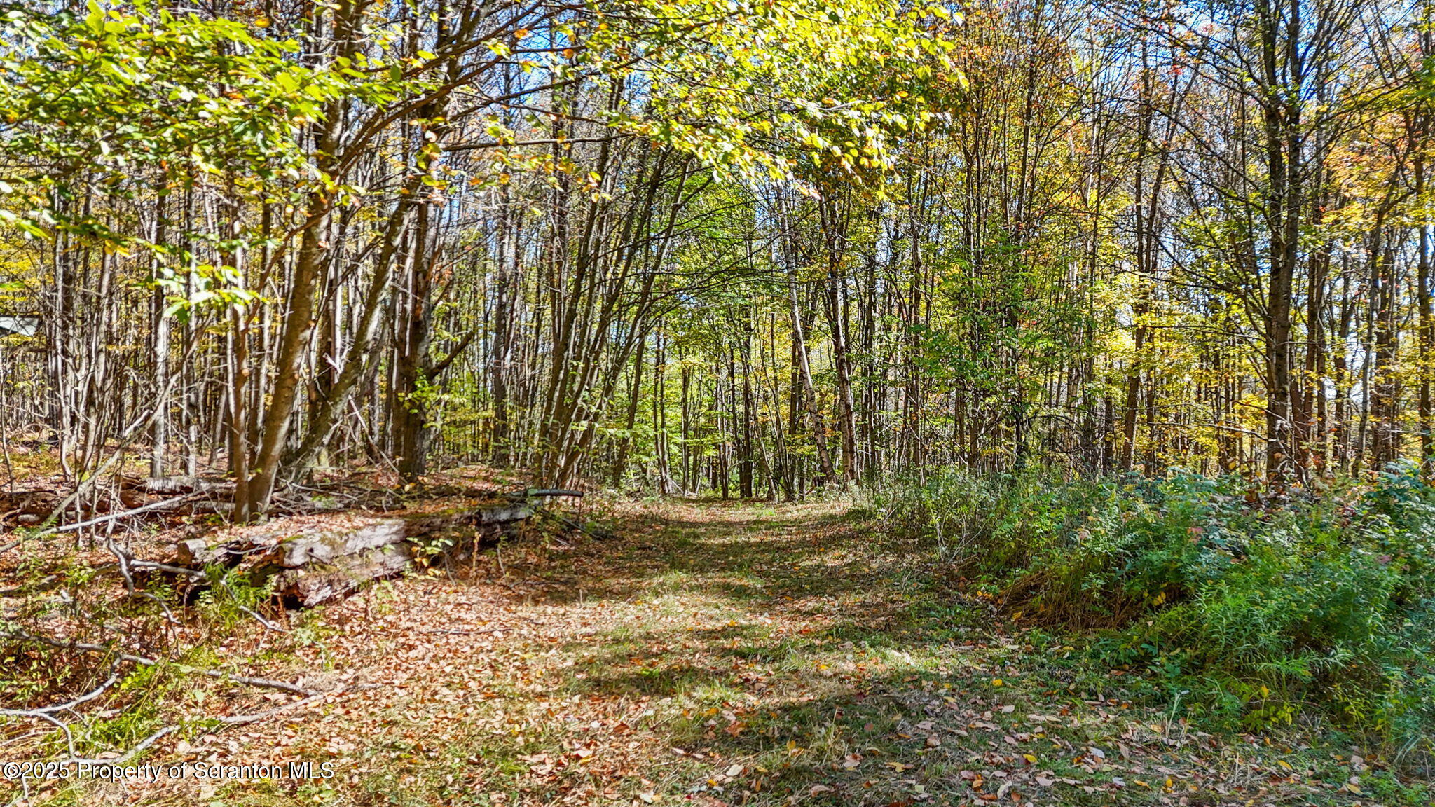 Lake Roy Road New Milford, PA 18834 - Photo 9 of 28 6-web-or-mls-DJI_20251009133123_0030_D